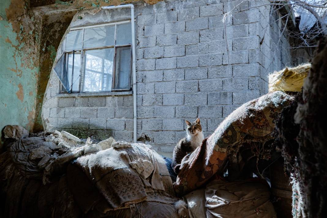 Kedilerini bırakamayan kadın hasarlı evinden ayrılmıyor 6